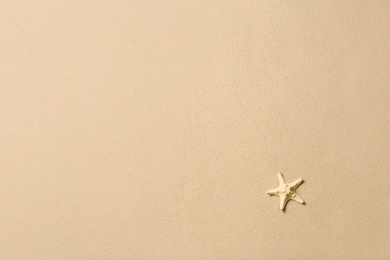 Photo of Beautiful starfish and space for text on beach sand, top view. Summer vacation