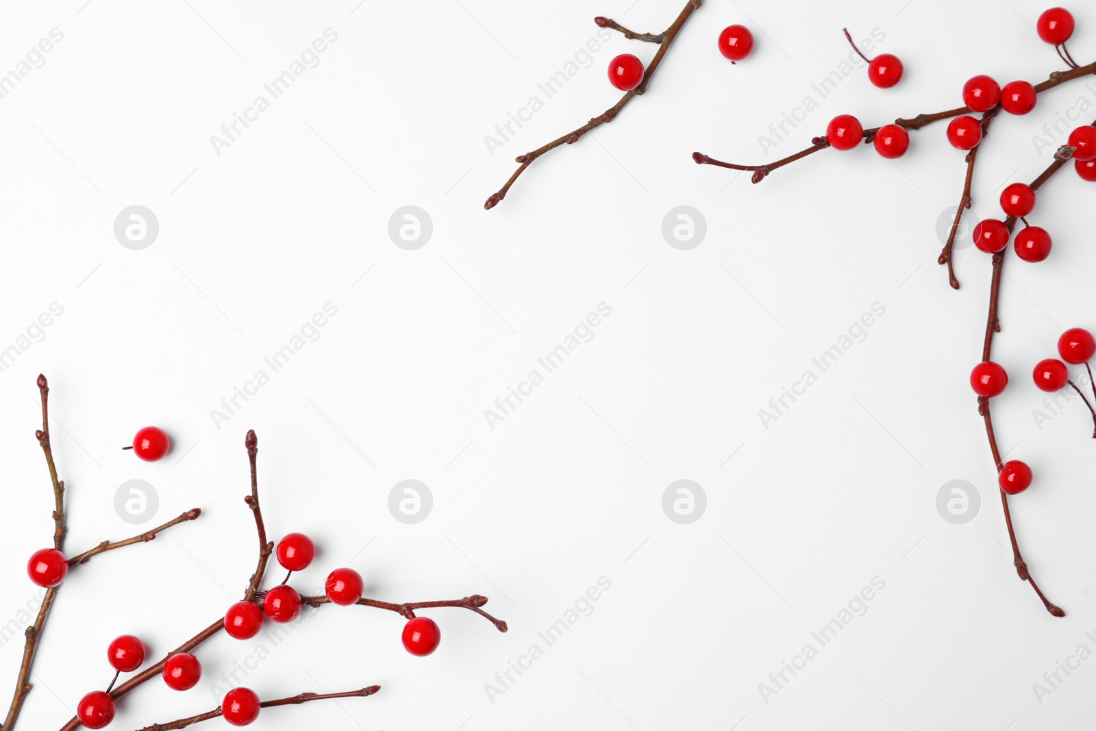 Photo of Winter composition with decorative branches on white background, top view