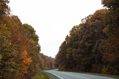 Beautiful view of empty asphalt highway and autumn trees