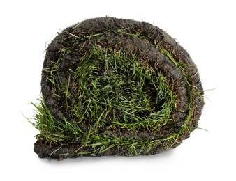 Photo of Rollgrass sod on white background