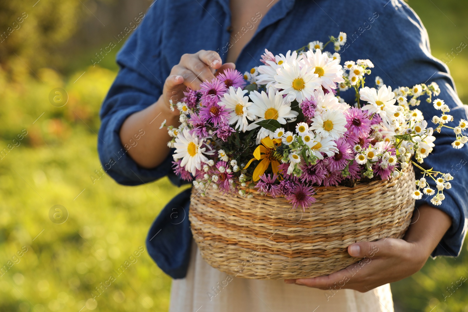 Photo of Woman holding wicker basket with beautiful wild flowers outdoors, closeup