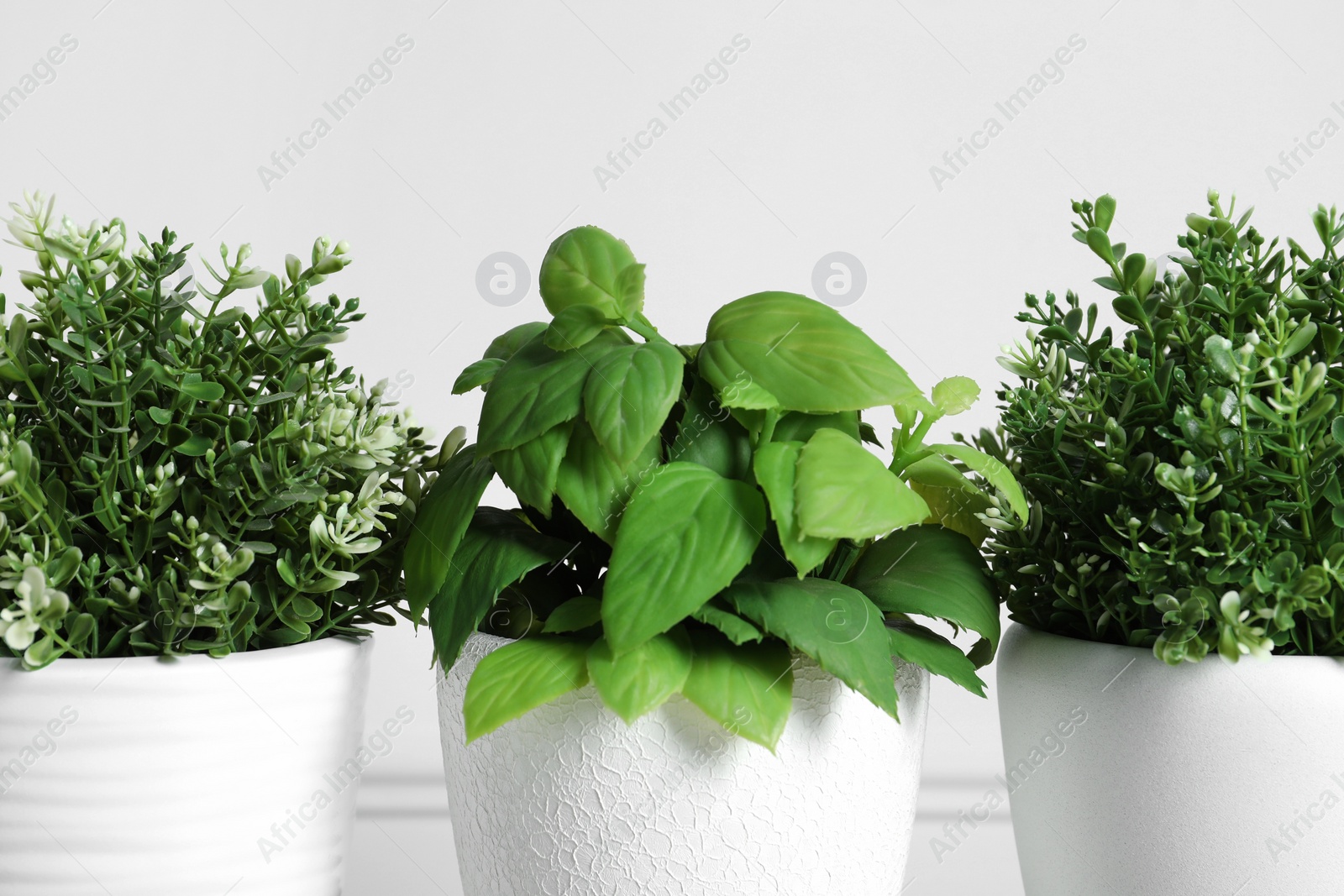 Photo of Different artificial potted herbs on white background, closeup