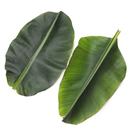 Photo of Fresh green banana leaves on white background, top view. Tropical foliage