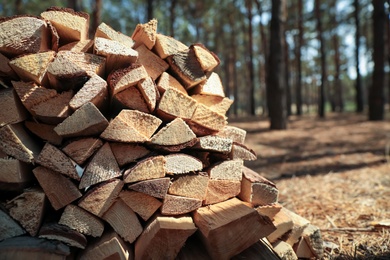 Photo of Stack of cut firewood in forest on sunny day, closeup