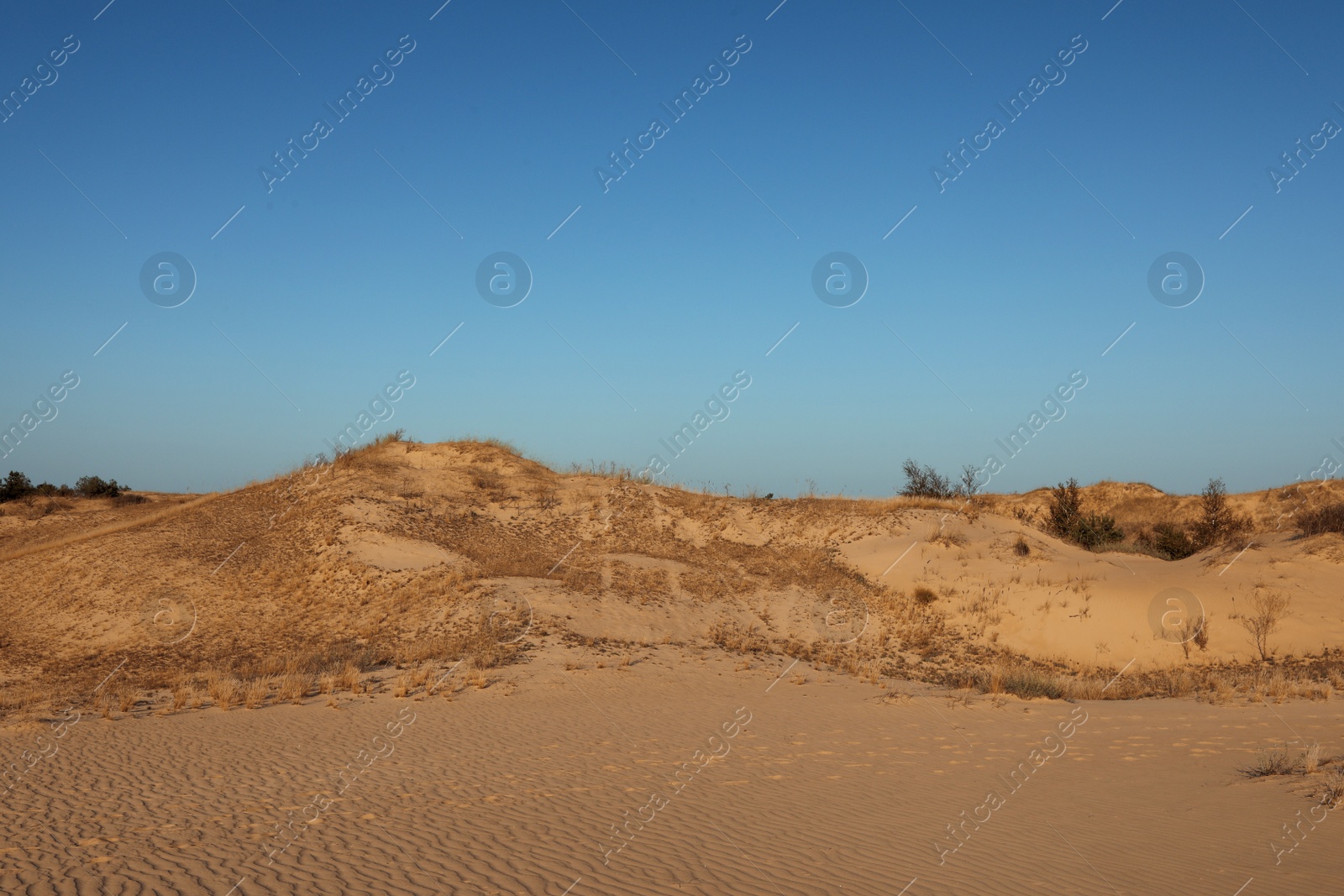 Photo of Picturesque view of desert on sunny day