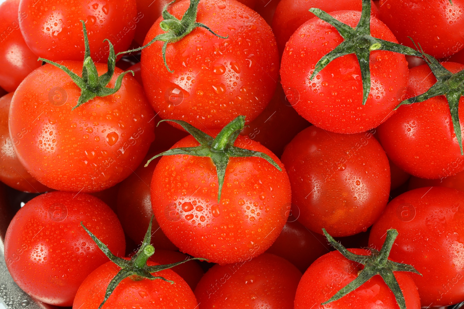 Photo of Many fresh ripe cherry tomatoes with water drops as background, closeup