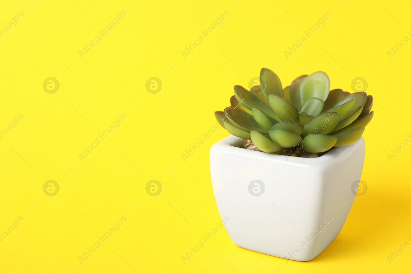 Photo of Beautiful artificial plant in flower pot on yellow background, space for text