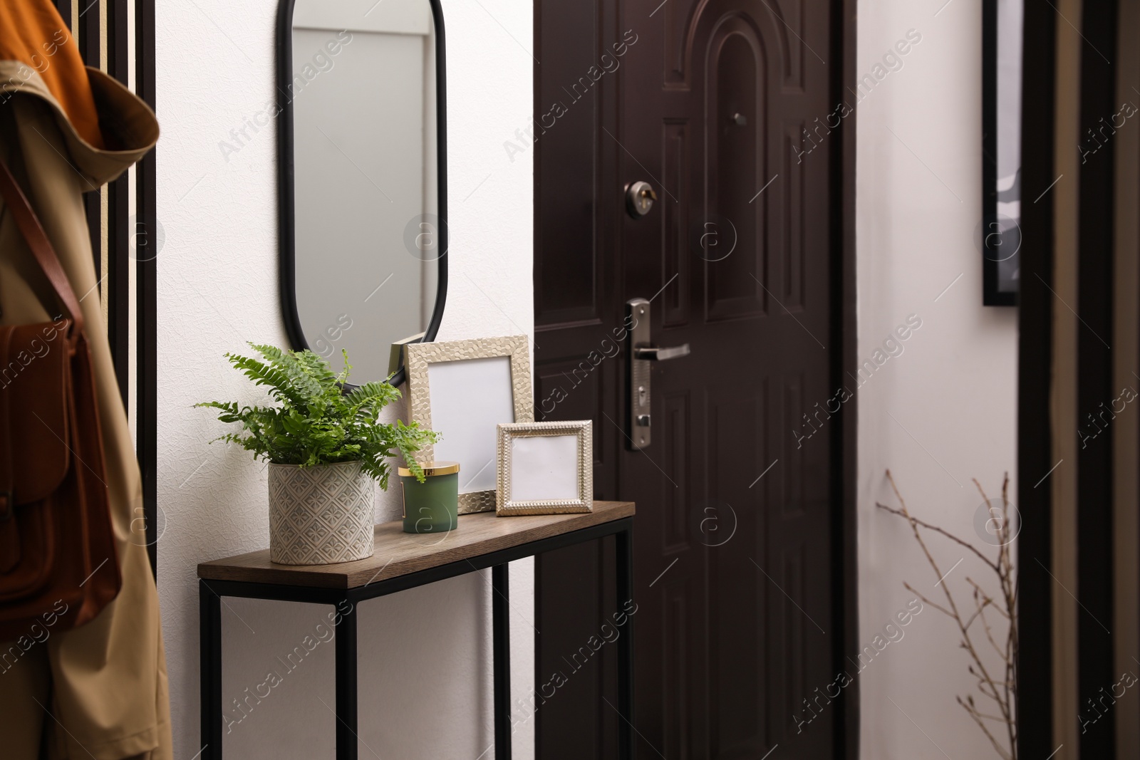 Photo of Beautiful fresh potted fern and empty frames on table in hallway