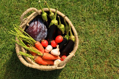 Different tasty vegetables in wicker basket on green grass outdoors, top view. Space for text