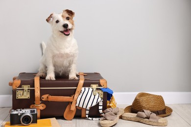 Photo of Travel with pet. Dog, clothes and suitcase indoors, space for text