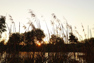 Photo of Picturesque view of countryside with river in morning