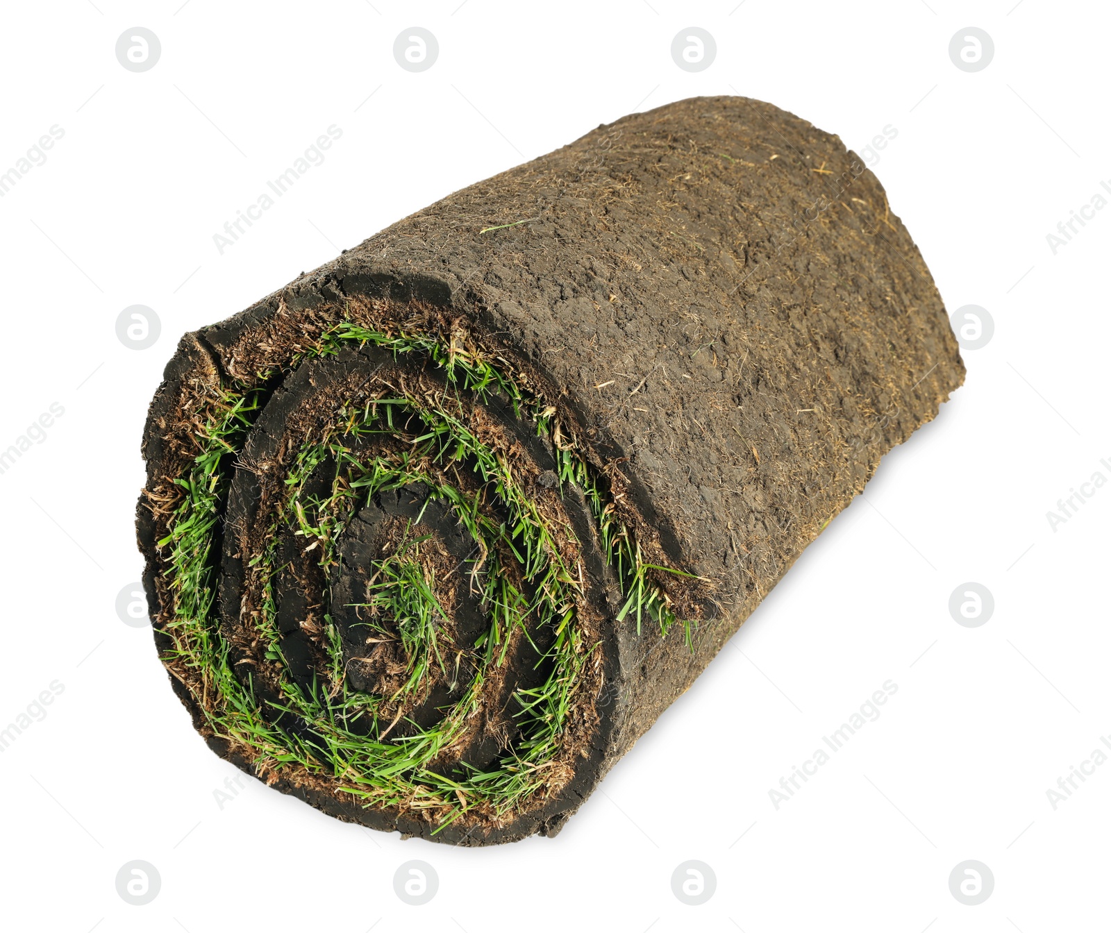 Photo of Rolled sod with grass on white background