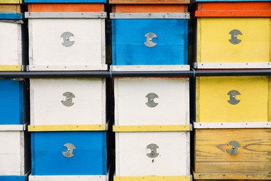 Many colorful bee hives at apiary, closeup