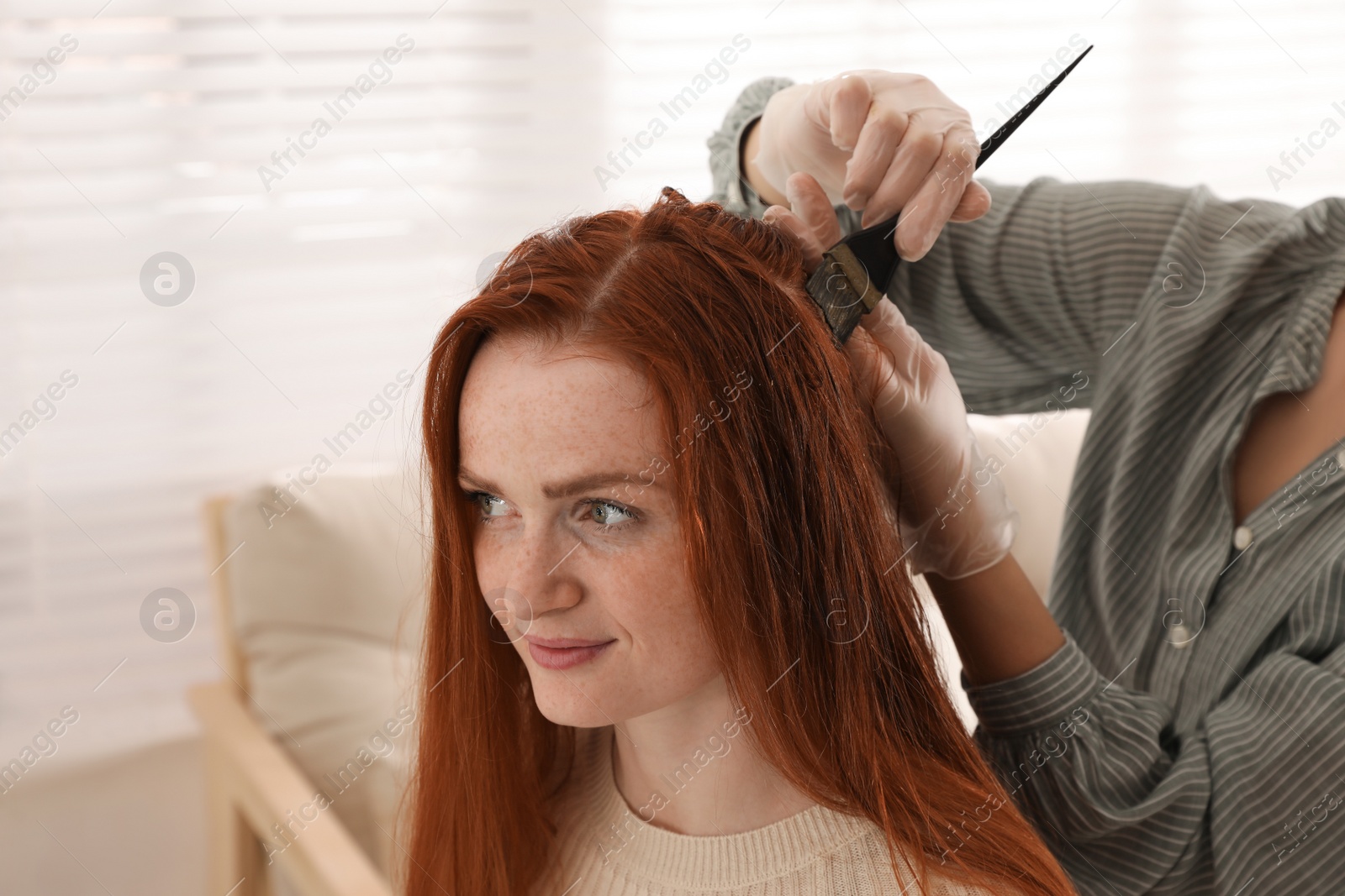 Photo of Professional hairdresser dyeing woman's hair with henna in beauty salon