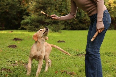 Photo of Woman playing with adorable Labrador Retriever puppy on green grass in park, closeup