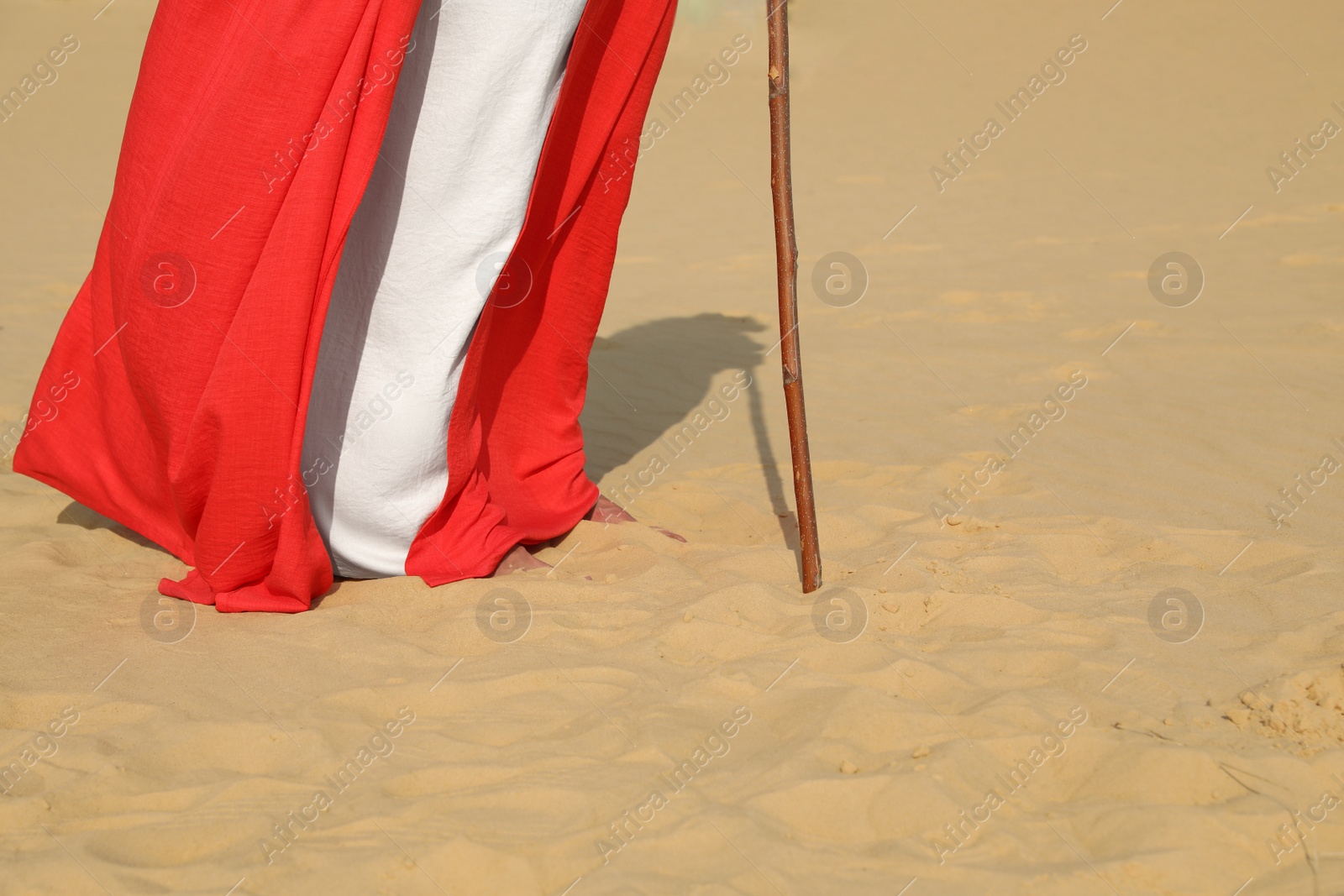 Photo of Jesus Christ walking in desert, closeup view