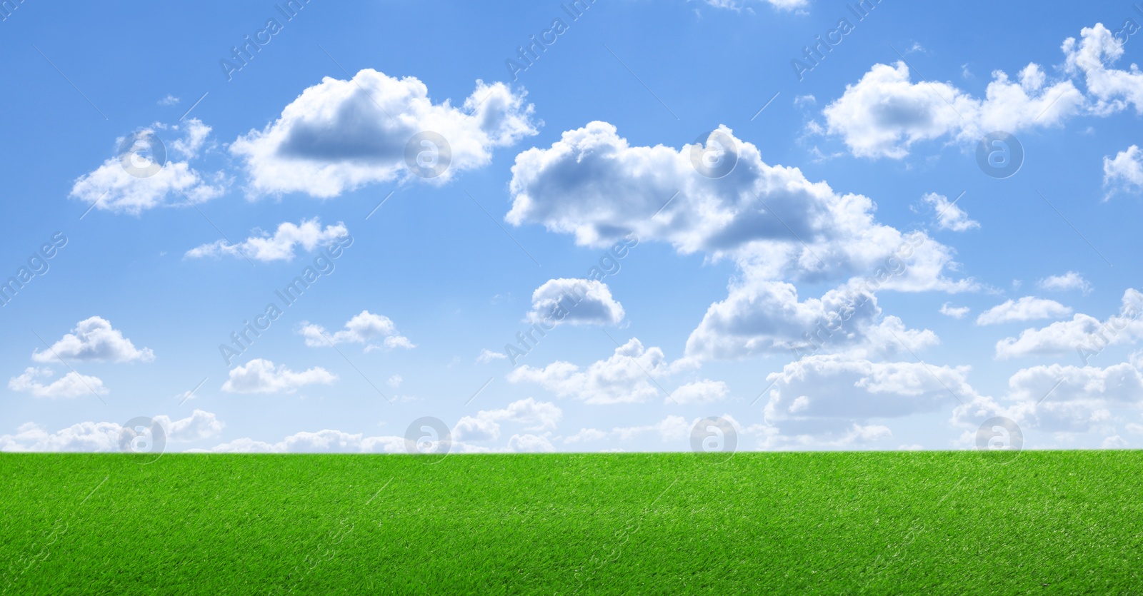 Image of Green grass under blue sky with clouds, banner design