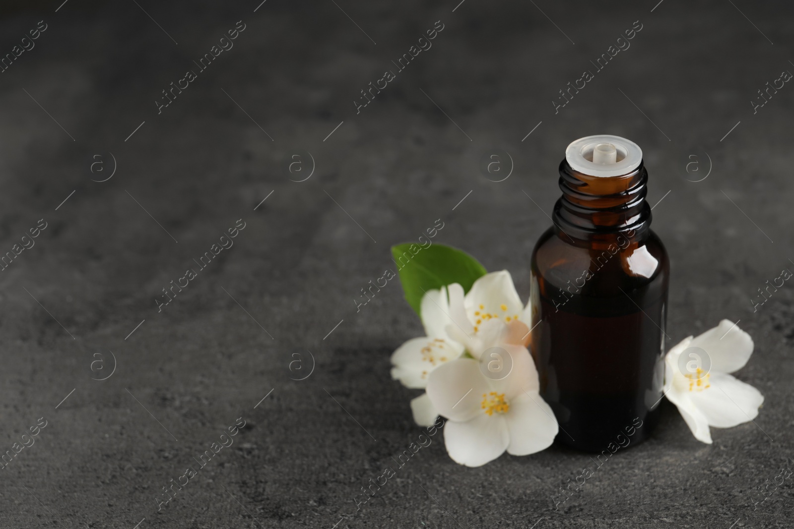 Photo of Essential oil and jasmine flowers on grey table. Space for text