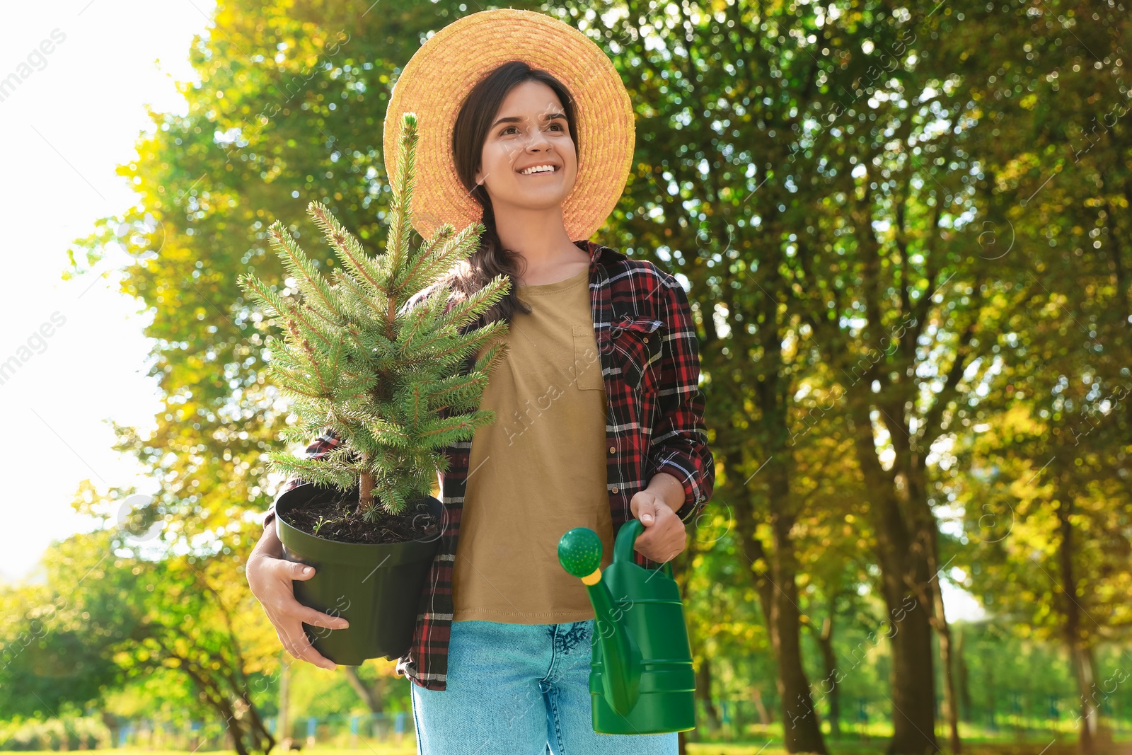 Photo of Young woman holding pot with conifer tree and watering can in park on sunny day