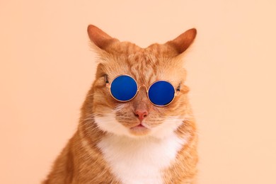 Portrait of cute ginger cat in stylish sunglasses on beige background