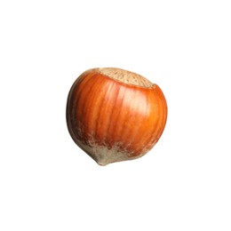 Photo of Tasty organic hazelnut isolated on white. Healthy snack