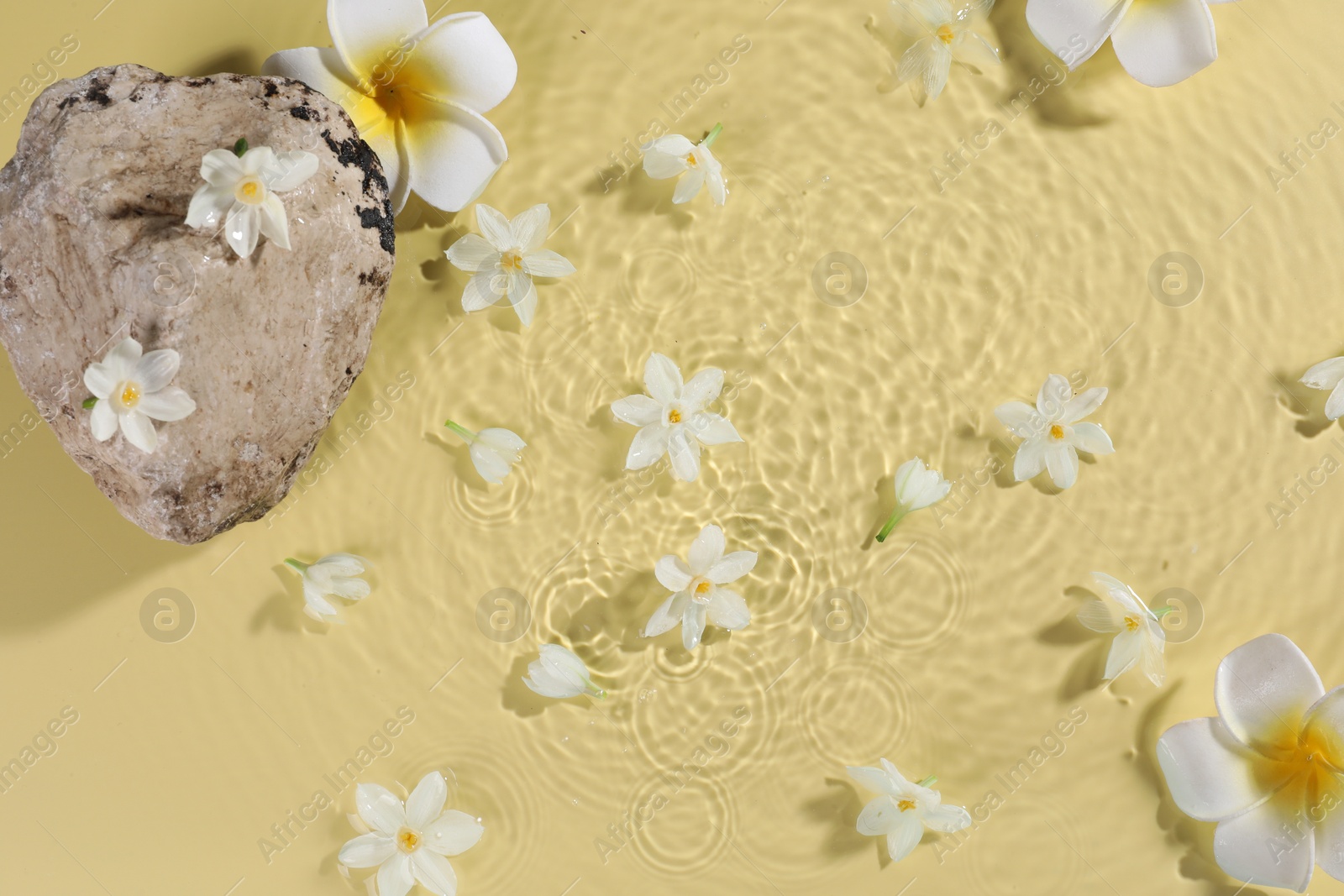 Photo of Beautiful flowers and stone in water on pale yellow background, top view