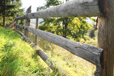 Wooden fence and bright green grass outdoors on sunny day