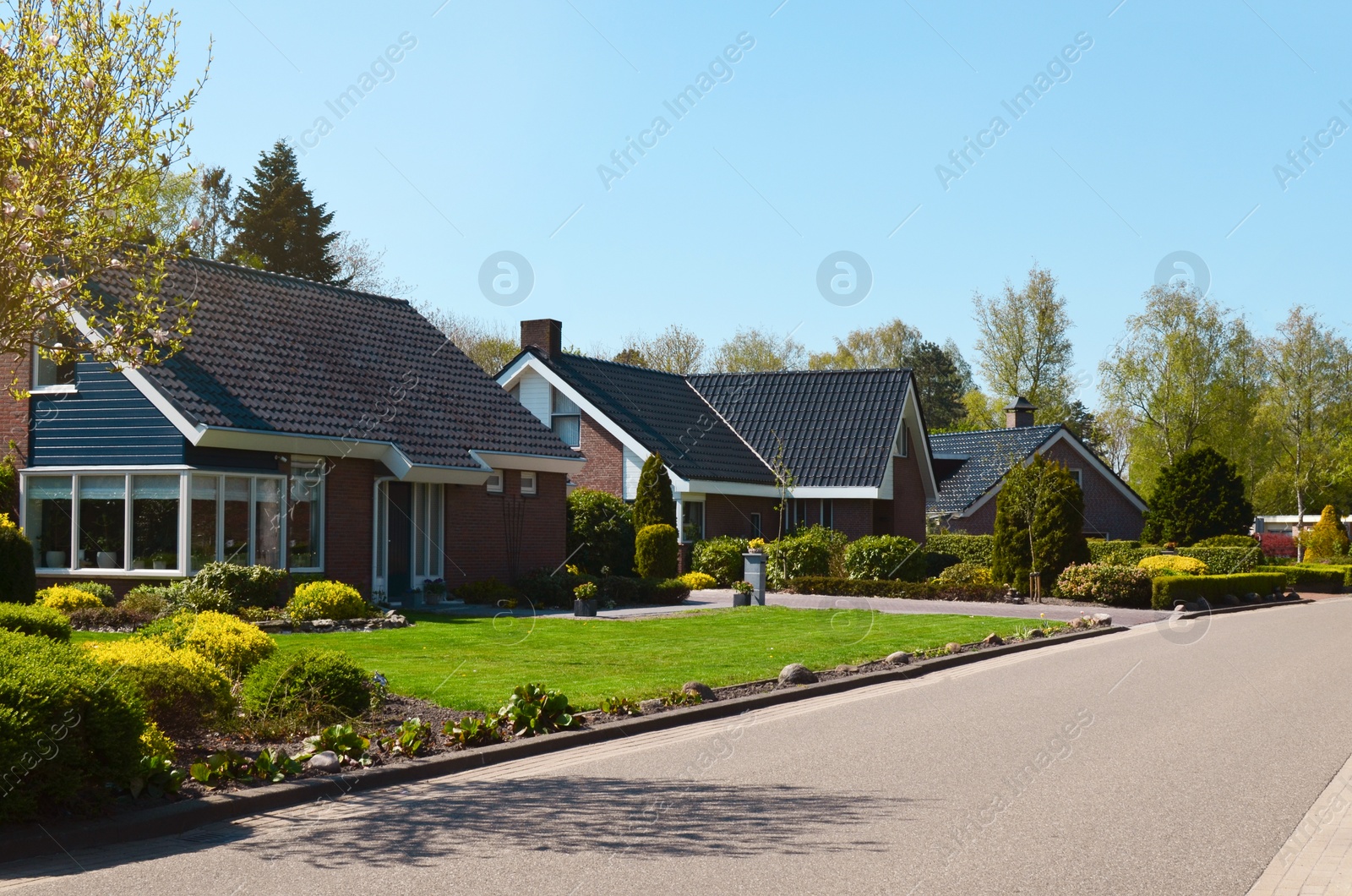 Photo of Picturesque view of cozy suburban street on sunny day