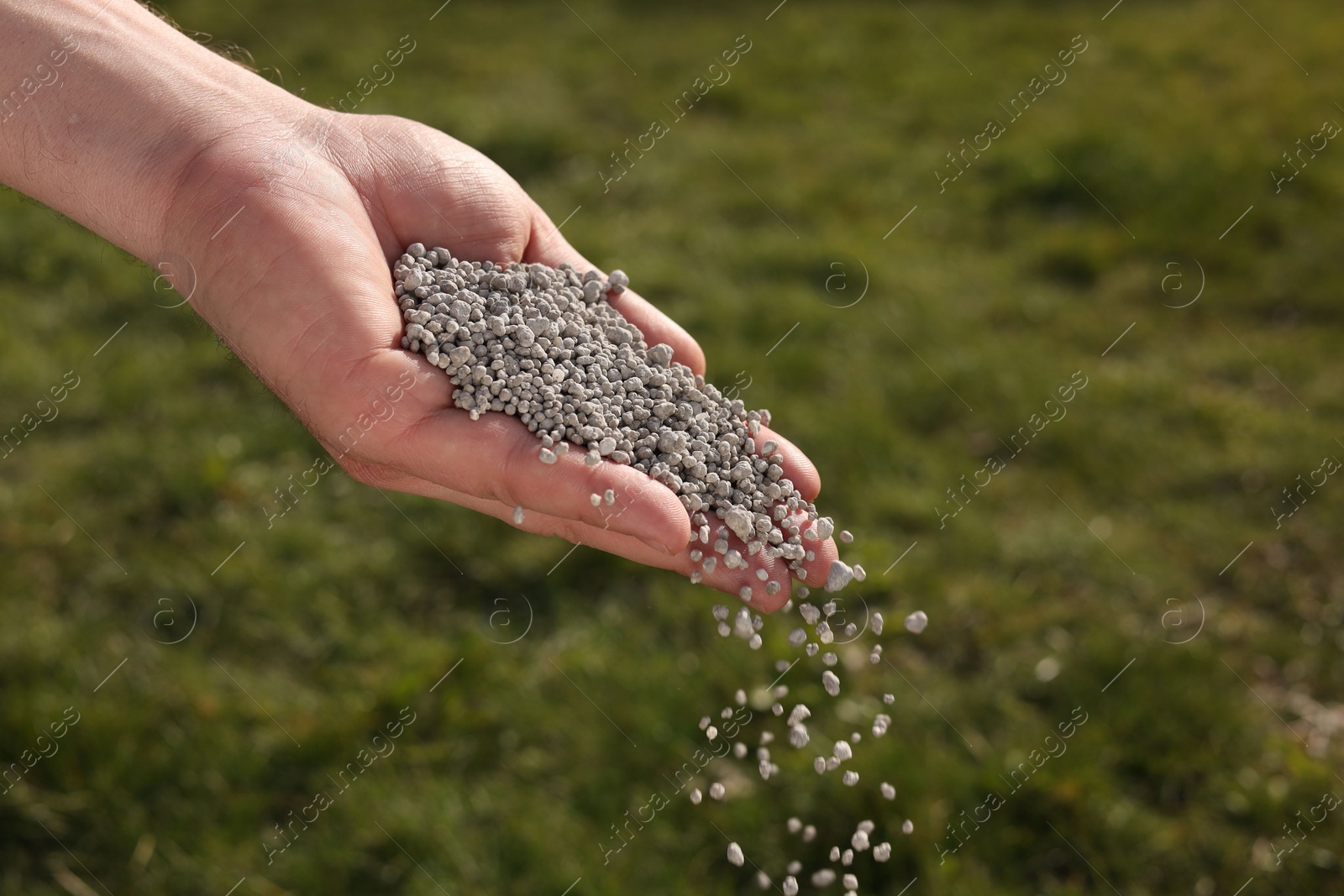 Photo of Man fertilizing green grass on sunny day, closeup