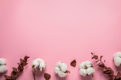 Fluffy cotton flowers and leaves on light pink background, flat lay. Space for text