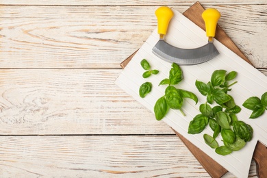 Board with fresh basil leaves on wooden background, top view. Space for text