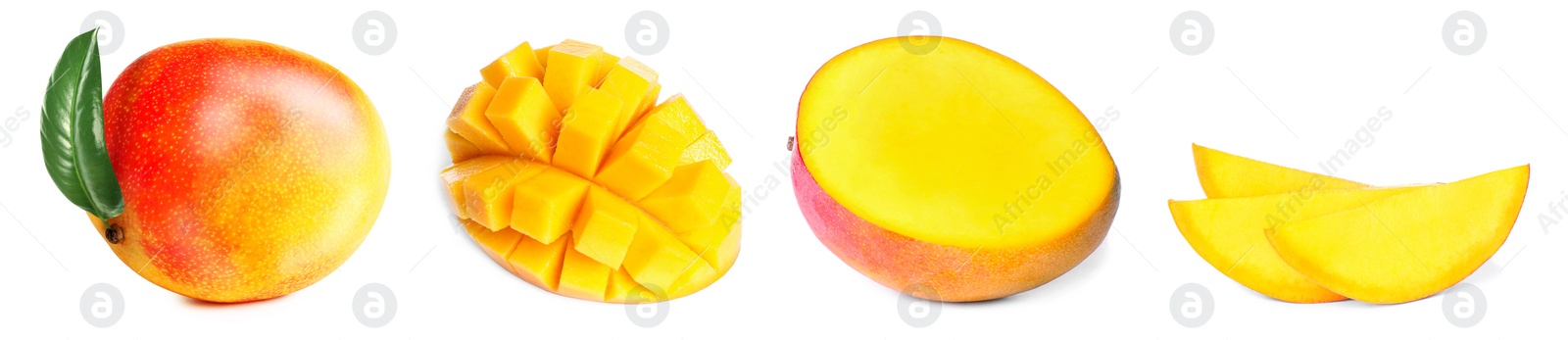 Image of Mango fruits cut in different ways and one whole isolated on white