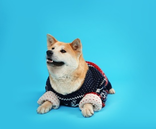 Photo of Cute Akita Inu dog in Christmas sweater on blue background