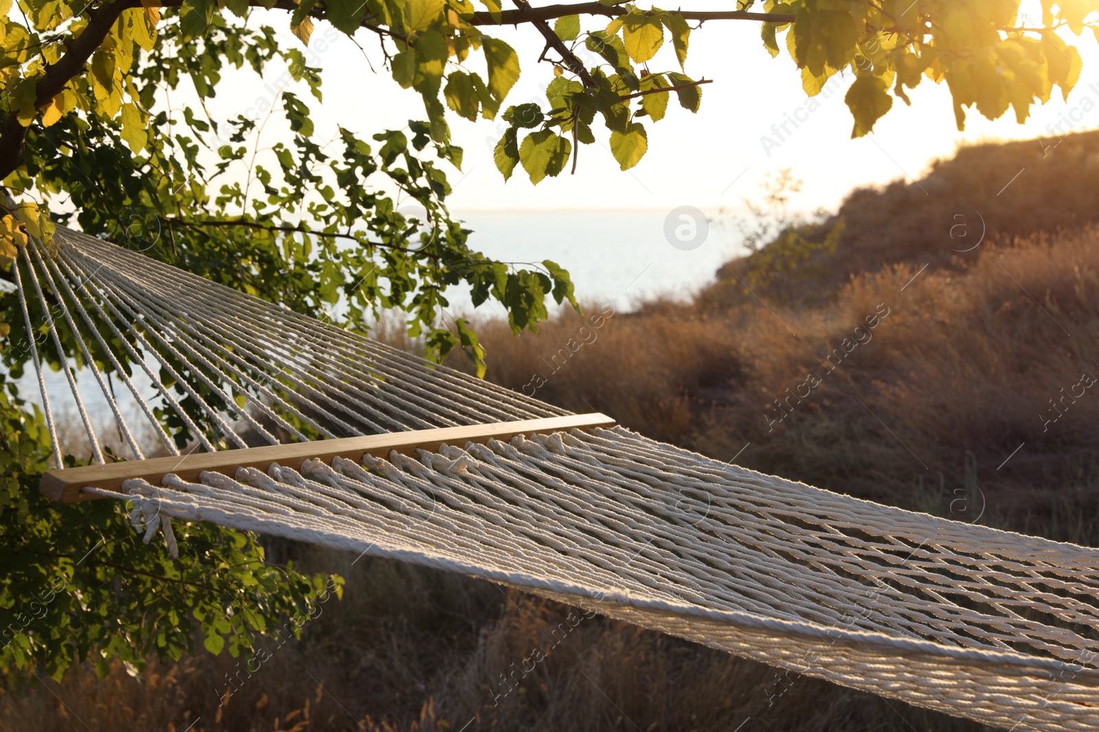 Photo of Empty hammock hanging outdoors. Time to relax