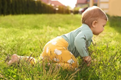 Photo of Cute little child crawling on green grass outdoors