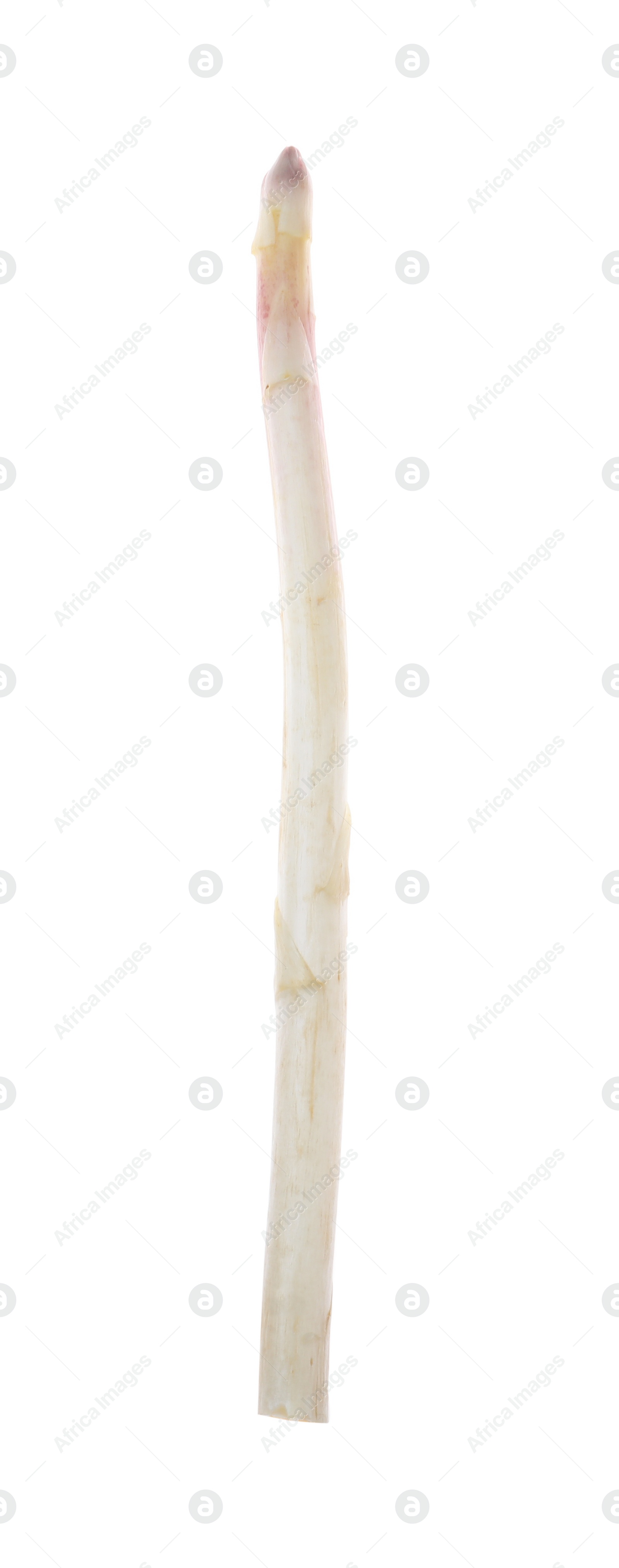 Photo of Fresh ripe raw asparagus isolated on white