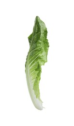 Fresh leaf of green romaine lettuce isolated on white