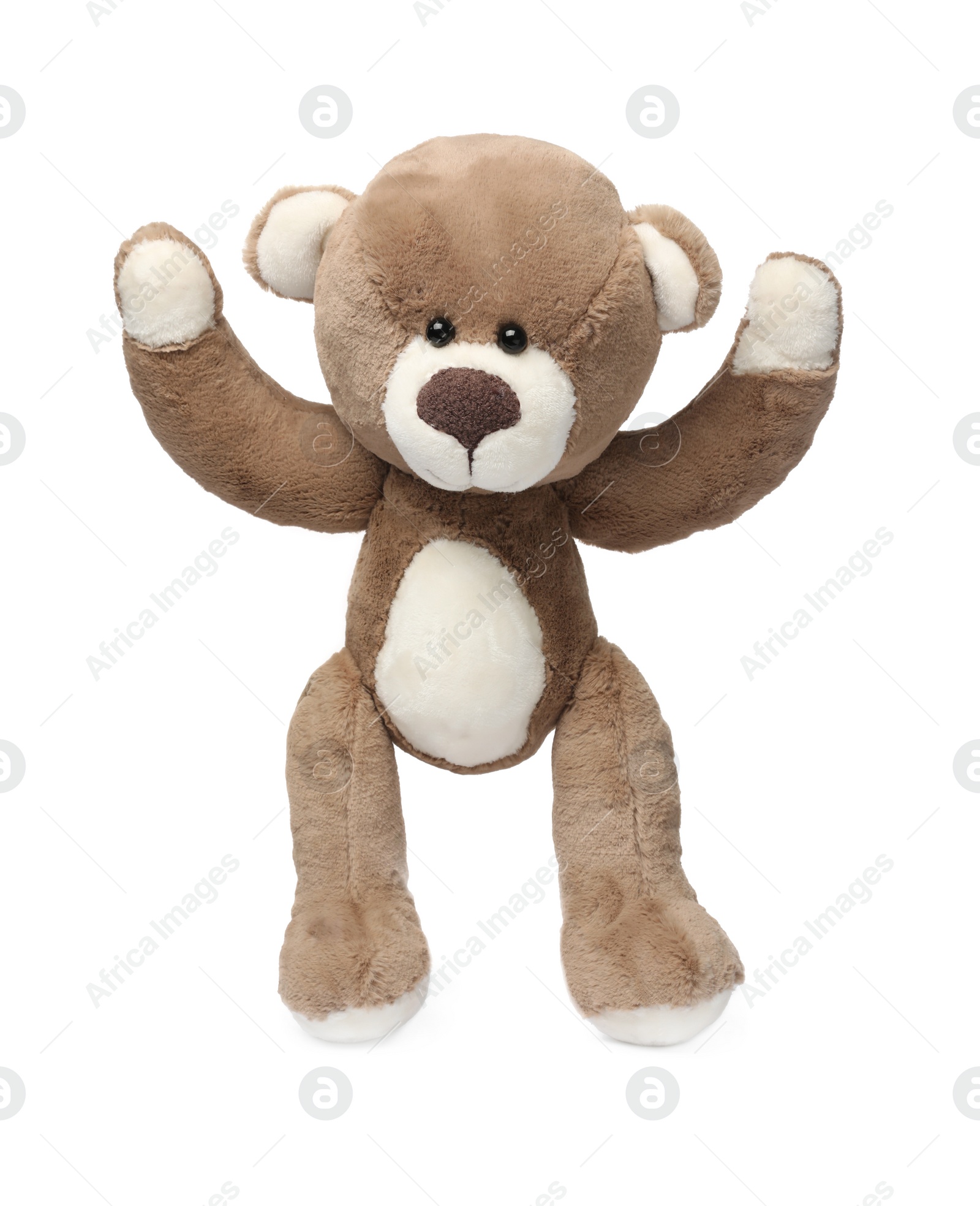 Photo of Cute teddy bear isolated on white. Child`s toy