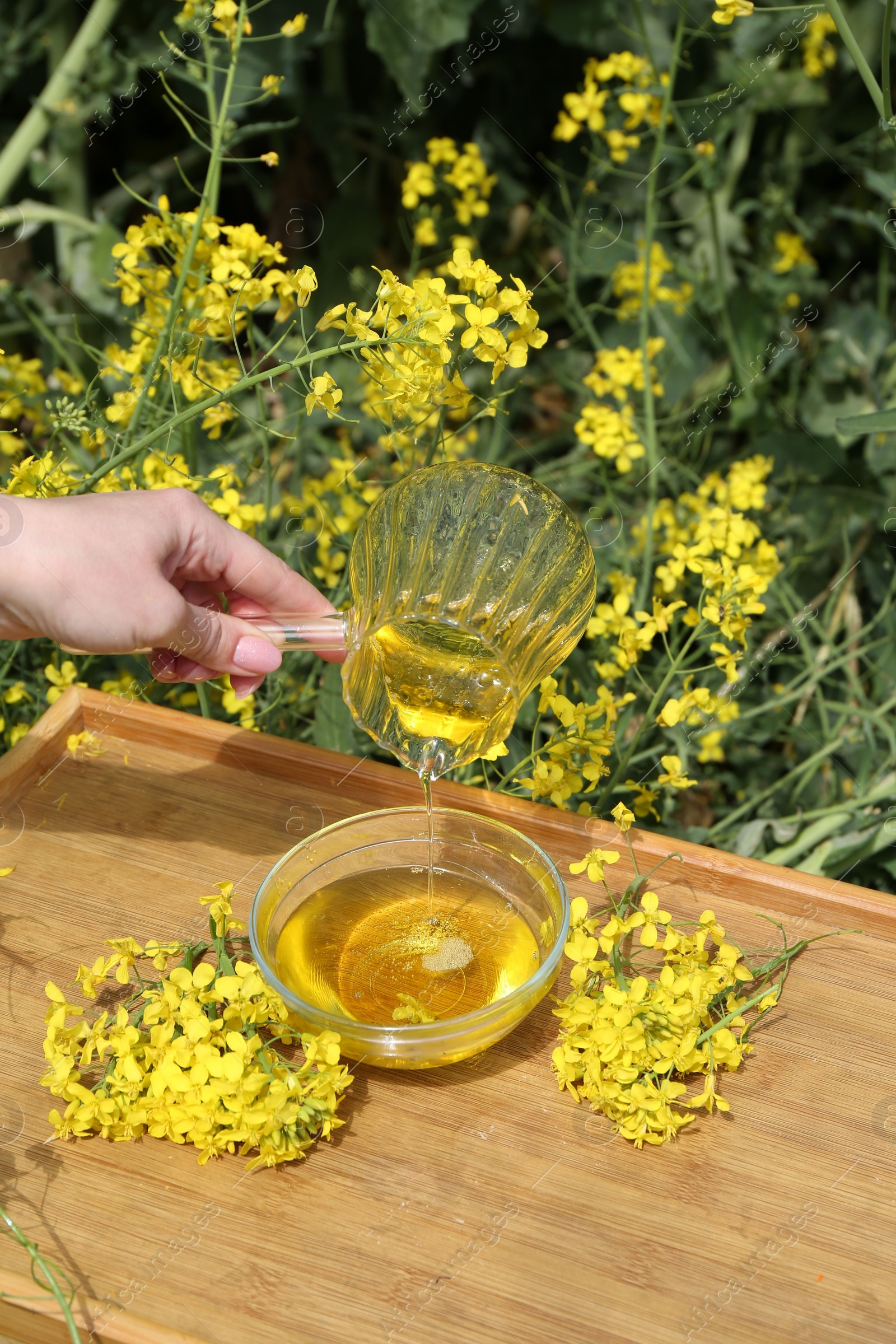 Photo of Woman pouring rapeseed oil from jug into bowl at tray outdoors, closeup