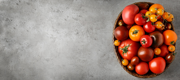 Image of Top view of bowl with fresh tomatoes on grey marble table, space for text. Banner design 