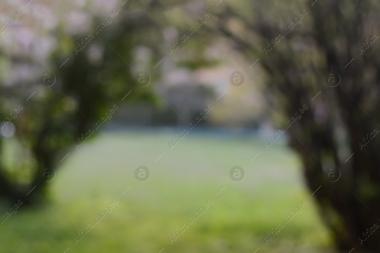 Photo of Blurred view of shrubs in park and building. Bokeh effect