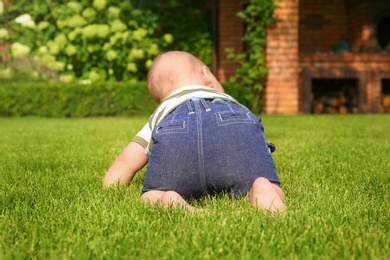 Adorable little baby crawling on green grass outdoors