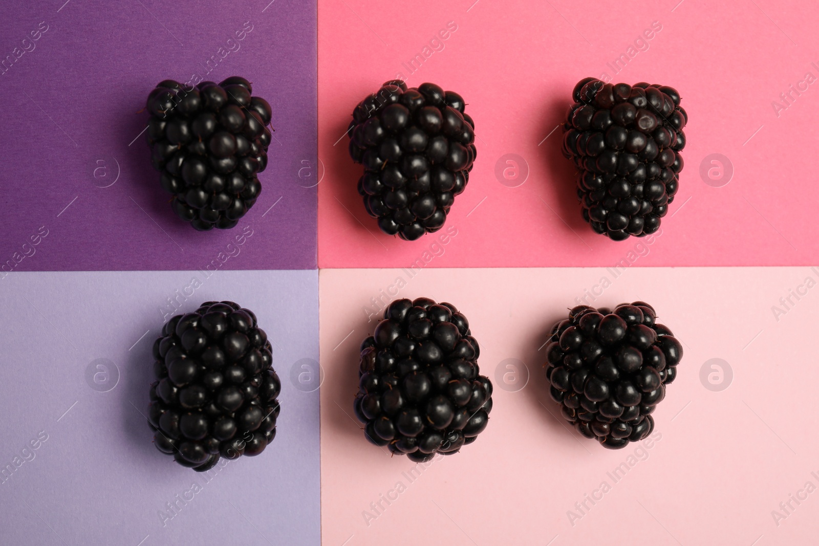 Photo of Flat lay composition with ripe blackberries on color background