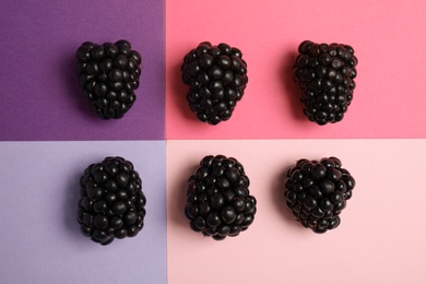 Flat lay composition with ripe blackberries on color background