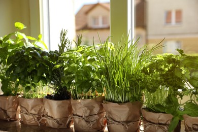 Photo of Different aromatic potted herbs near window indoors