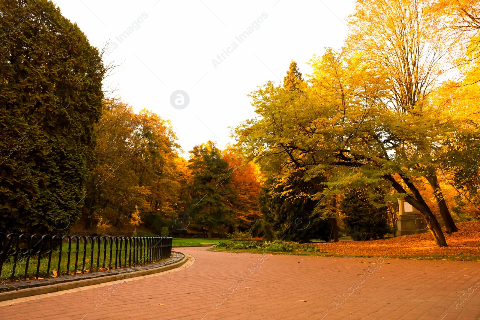 Photo of Beautiful yellowed trees and paved pathway in park