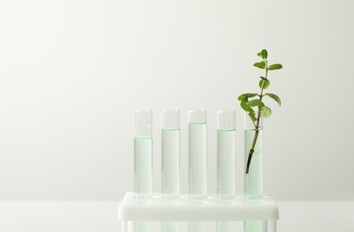 Photo of Test tubes with liquid and mint on white background. Chemistry concept