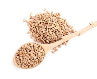 Photo of Wooden spoon with wheat grains on white background, top view