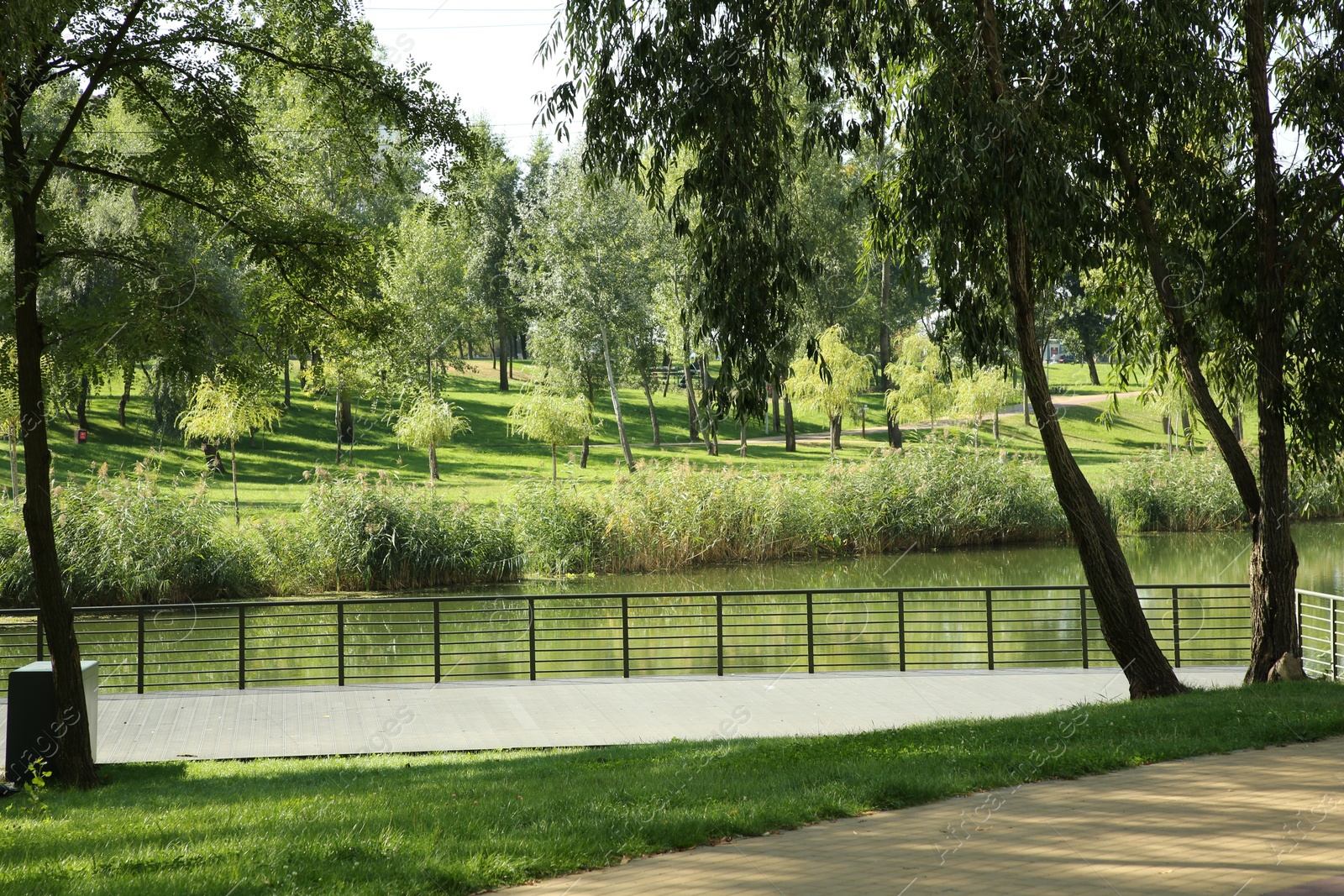 Photo of Quiet park with green trees, pond and pathway on sunny day