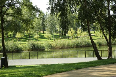 Quiet park with green trees, pond and pathway on sunny day